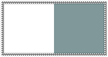 SWATCHES